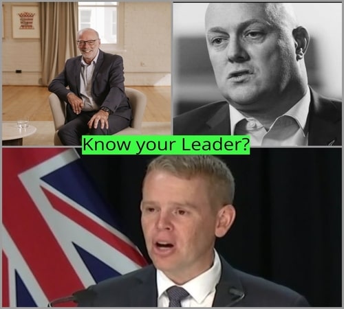 Chris Hipkins vs Chris Luxon, Chris Hipkins vs Christopher Luxon, Chris Hipkins and Wayne Brown, Net Worth and Facts